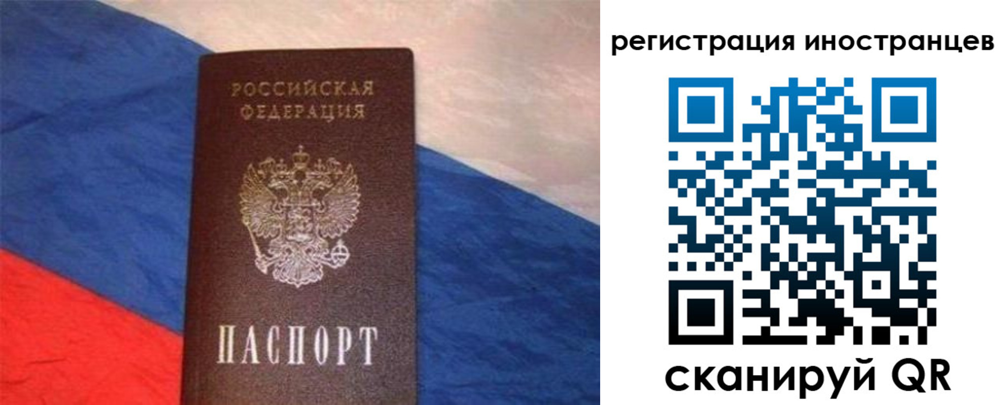 прописка в Зернограде